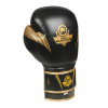 Boxerské rukavice DBX BUSHIDO B-2v13 10 oz