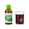 Růže galská - bylinné kapky (tinktura) 50 ml - doplněk stravy