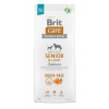 Brit Care Dog Grain-free Senior a Light - salmon a potato, 12kg
