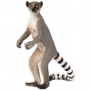 Animal Planet Lemur kata