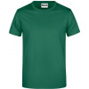 DAIBER JN 790 / Pánske tričko z ťažkej bavlny - irish green 4XL