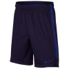 Šortky Nike Dry Squad - Veľkosť M (137-147 cm)