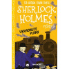 Sherlock Holmes vyšetruje 8: Ukradnuté plány [Baudet Stephanie, Doyle Arthur Conan]