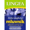 Česko-anglický mluvník ekonomický ... obchod, finance, podnikání - autor neuvedený