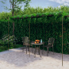 vidaXL Záhradná pergola, starožitná hnedá 6x3x2,5 m, železo 313999