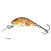 vobler Salmo Hornet 2,5cm / 1,5g - potápavý Prevedenie: T - Trout