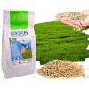 Renovum Grass Fast Regenerácia defektu trávnika (Renovum Grass Fast Regenerácia defektu trávnika)