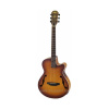 ARIA FET-F1 LVS ELEKTRO-AKUSTICKÁ GITARA