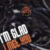 Band of Heysek: I'm Glad I Met You LP - Band of Heysek