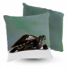 Vankúš - Vankúš velor korytnačka 5Made 40x40 cm (Vankúš velor korytnačka 5Made 40x40 cm)