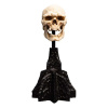 Weta Workshop Lord of The Rings Mini Soška Skull of a Mordor Orc 14 cm