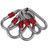 CAMP Set 5 Steel Oval Standard Lock