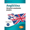 Angličtina - Stručná anatomie jazyka - Šimon Daníček