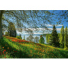 SCHMIDT Puzzle Kvitnúce tulipány na ostrove Mainau 1000 dielikov