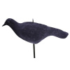 Odpudzovač - plašič vtákov figúrka Havran 16 x 10 x 42 cm PATIO