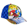 Cerdá Ježko Sonic s priateľmi