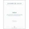Trio pro housle (flétnu), violoncello a klavír - Jindřich Feld