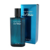 Davidoff Cool Water, Toaletná voda 75ml pre mužov
