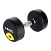 Pevné potiahnuté/gumované činky HMS 1 x 10 kg