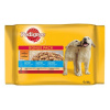 PEDIGREE kapsička dog JUNIOR Multipack kura&ryža v želé, hovädzie&ryža v želé 4 x 100 g