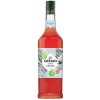 Barmanský sirup Giffard Guava 1L Guava 100 ml