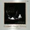 Hammel Pavol/Varga Marián/Peteraj Kamil - Všetko je inak [CD]