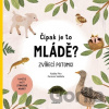 Čípak je to mládě? - Radka Píro, Carmen Saldana (ilustrátor)