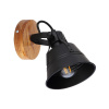 GLOBO 15466S-1 GÜNTHER nástenné svietidlo 1xE27, max. 60W 230V