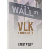 Vlk z wall street - Wolff Ernst