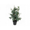 UMELÝ KVET V KVETINÁČI EUKALYPTUS UMELÝ ZELENÝ 54 cm