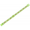 Nobby MINI obojok 20-35cm zelená