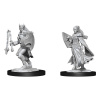 Dungeons & Dragons Nolzur's Marvelous Miniatures - Kalashtar Cleric Female 2-Pack, 4 cm