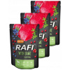 Rafi Vlhké krmivo pre psov s divinou, sada 10 x 300 g