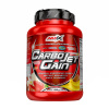 Amix CarboJet Gain 1000 g