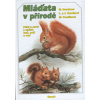 Mláďata v přírodě
