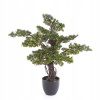 Bonsai - umelé BONSAI zenové stromy 75 cm umelé bonsaje (Bonsai - umelé BONSAI zenové stromy 75 cm umelé bonsaje)