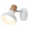 Stropné svietidlo, lampa - Spotlight Lamp Spot Holly 5943 Rabalux (Spotlight Lamp Spot Holly 5943 Rabalux)