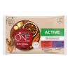 PURINA ONE MINI Small Dog Active Multipack hovädzie a kačica v šťave 4x85g (PURINA ONE MINI Small Dog Active Multipack hovädzie a kačica v šťave 4x85g)