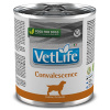 Farmina Vet Life dog convalescence konzerva 300 g