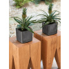 Lechuza Cube Glossy 14 All inclusive set charcoal hugh-gloss 14x14x14 cm