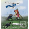 Záhadné zmiznutie modréh… (Adriana Šinka Poláková)