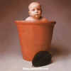 Barclay James Harvest - Baby James Harvest / 4CD+Blu-Ray / BOX [CD / BRD]