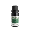 Tuja éterický olej - Nobilis Tilia Objem: 10 ml