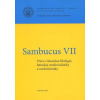 Sambucus VII. - Práce z klasickej filológie, latinskej medievalistiky a neolatinistiky