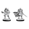 Dungeons & Dragons Nolzur's Marvelous Miniatures - Dragonborn Fighter Female 2-Pack, 4 cm