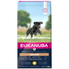 Eukanuba Junior Large Breed 15kg
