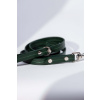 Dog leash Brunswick