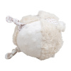 BIGJIGS TOYS Bigjigs Baby Pejsek chrastítko aktivní míč