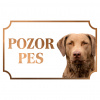 Retríver zo zálivu Chesapeake - Kovová tabuľka POZOR PES