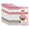 Konzerva pre mačky - Royal Canin Kitten Instinctive v omáčke 12x 85g (Kráľovské povocné mačiatko inštinktívne v 12x 85g omáčke)